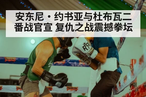 boxing ring lights